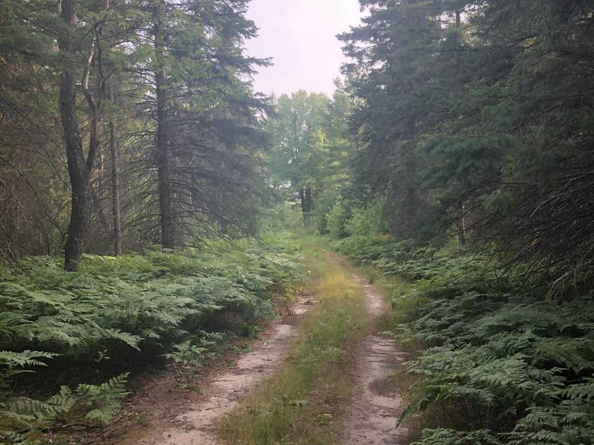 Long Road Spur photo 4