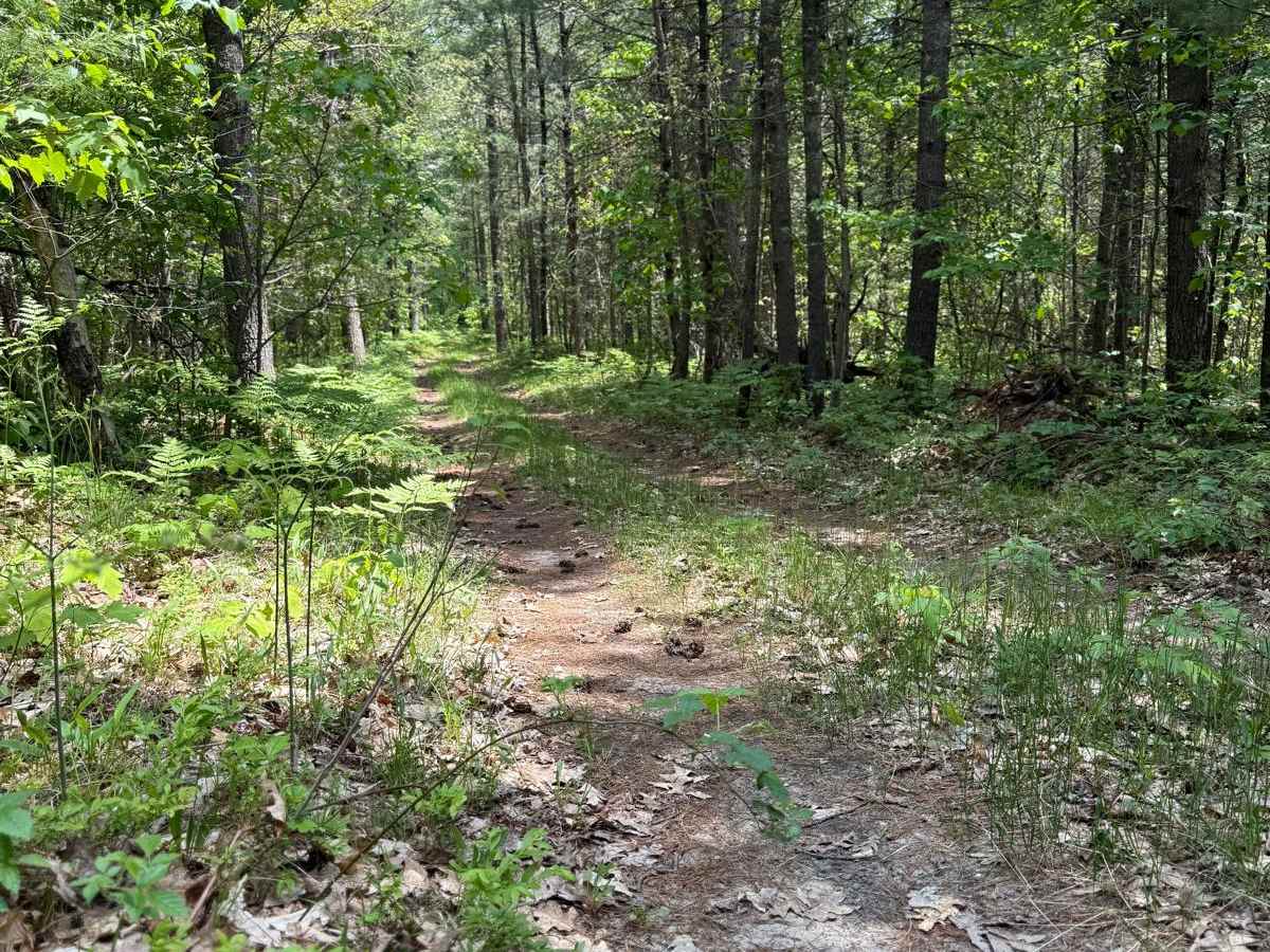 Camp Trail trail photo