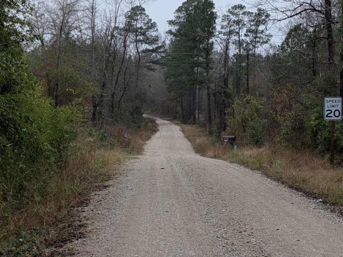 Turkey Hill Wilderness Route photo 4