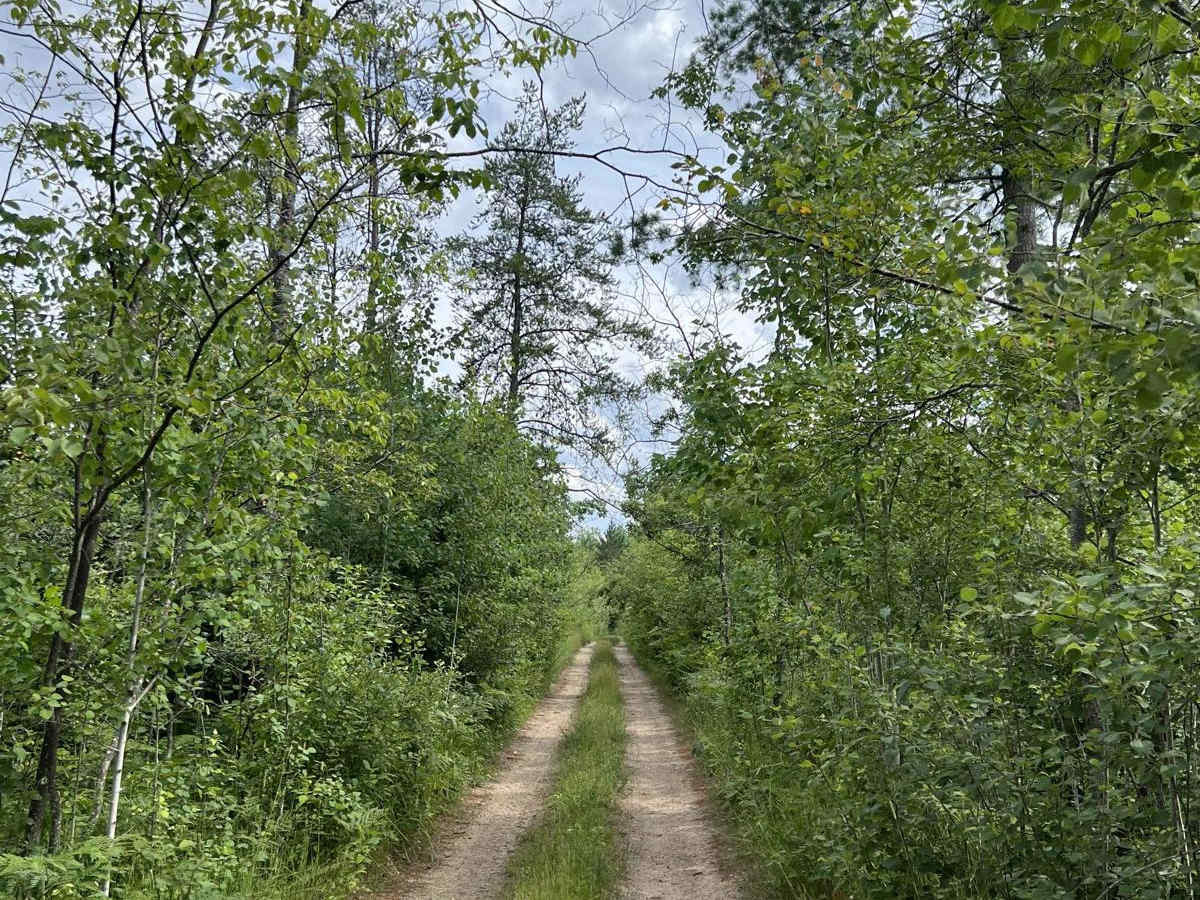 Pots Lake Trail photo 2