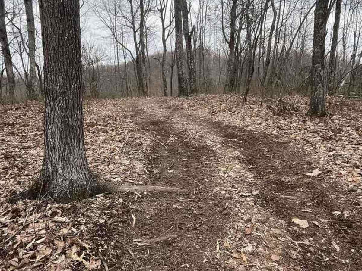 Trail 4 trail photo