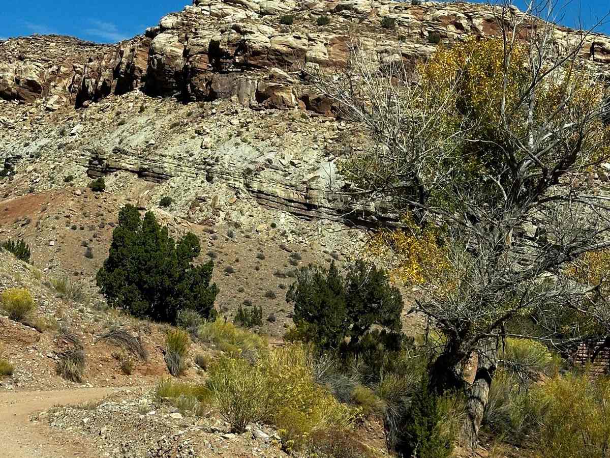 Crescent Creek photo 6