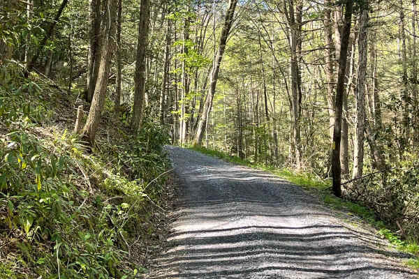 Queens Run Road