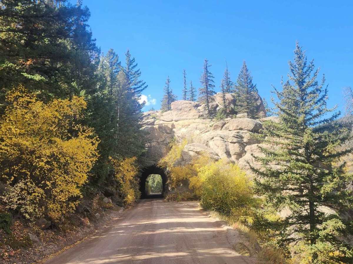 Elevenmile Canyon Road - FS 96 photo 2