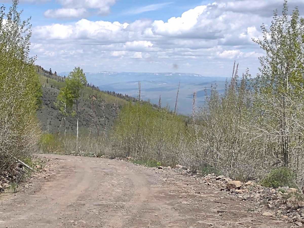 Cove Mountain Road (FS# 40068) photo 4