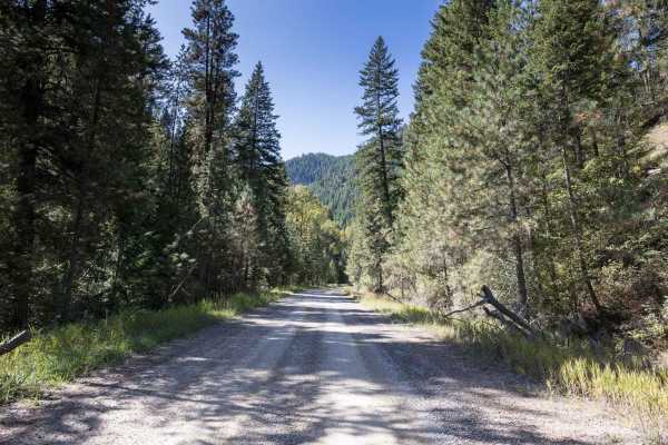 Little Joe Creek FS 282