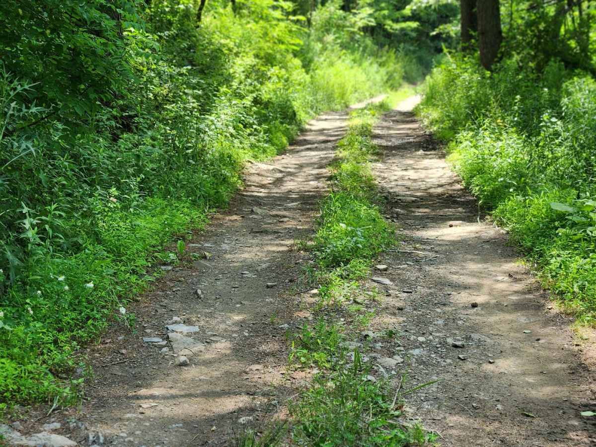 Trail 7 - Rock Run Recreation Area photo 3
