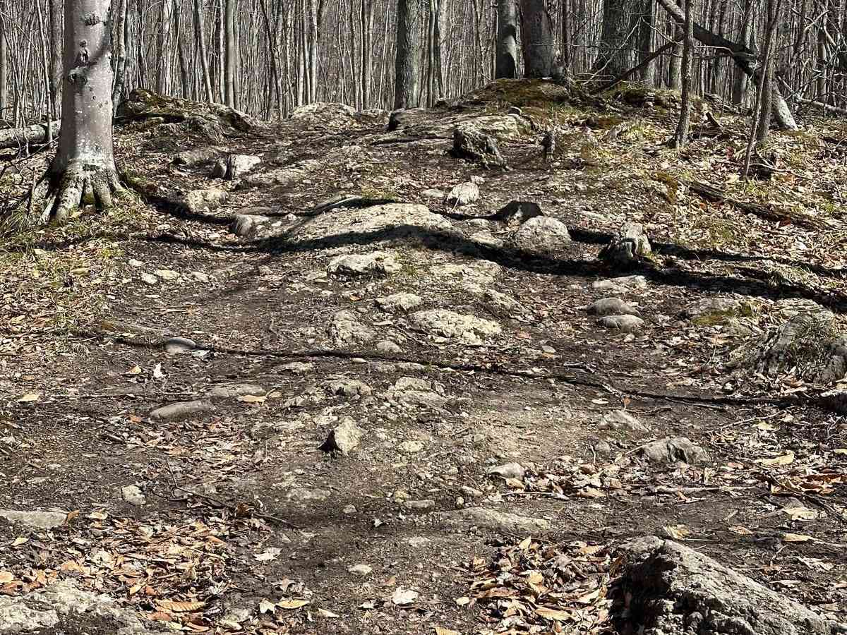 Rock Run photo 2