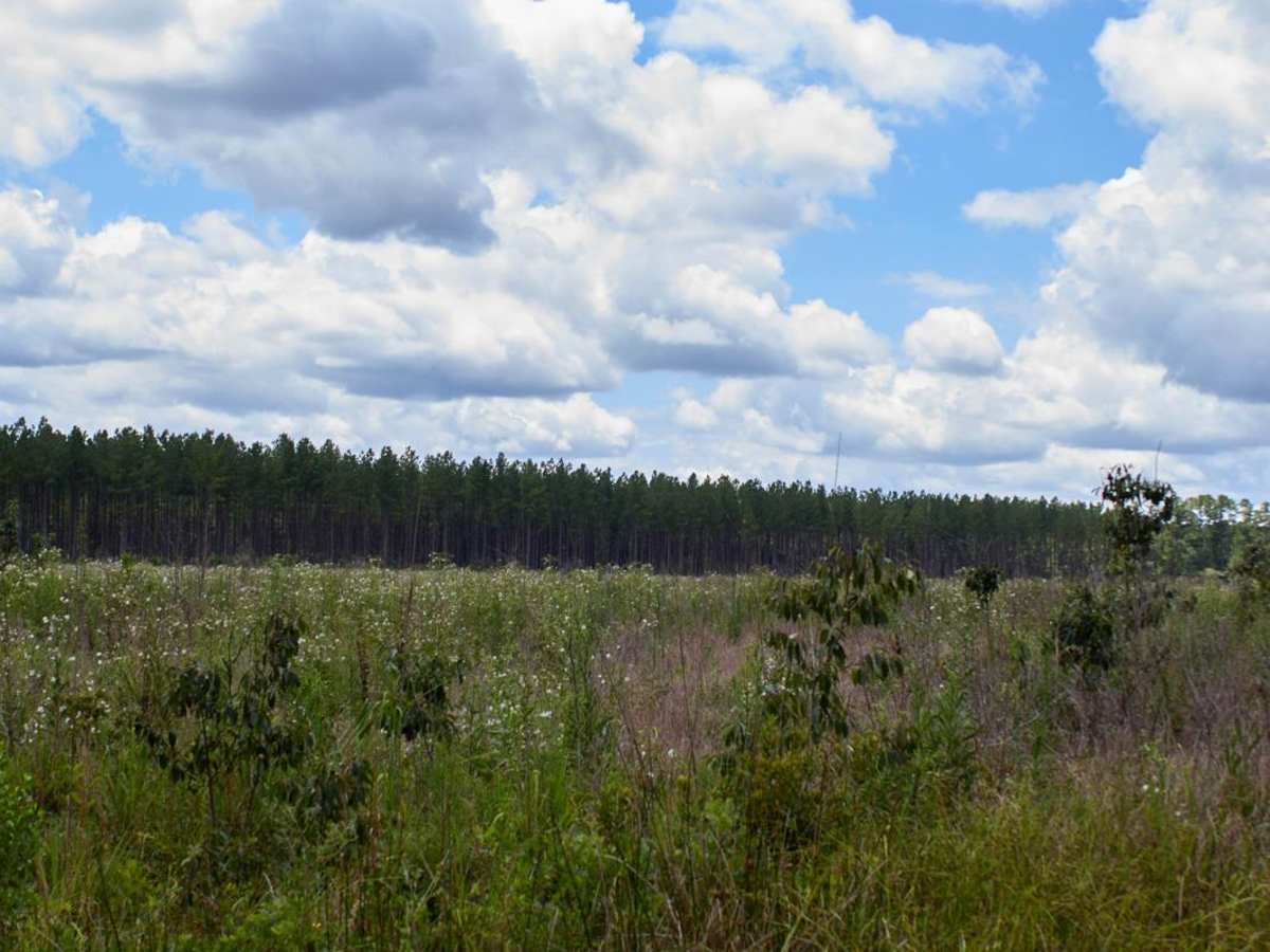 Arrowhead Road photo 2