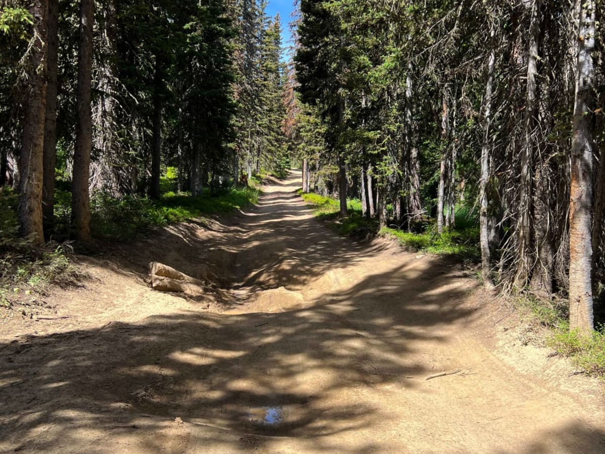 Harrison Creek photo 6