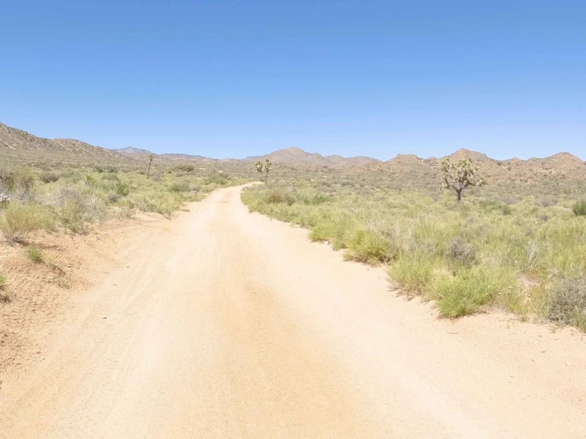 New Dixie Mine Road - BLM C2330 photo 3