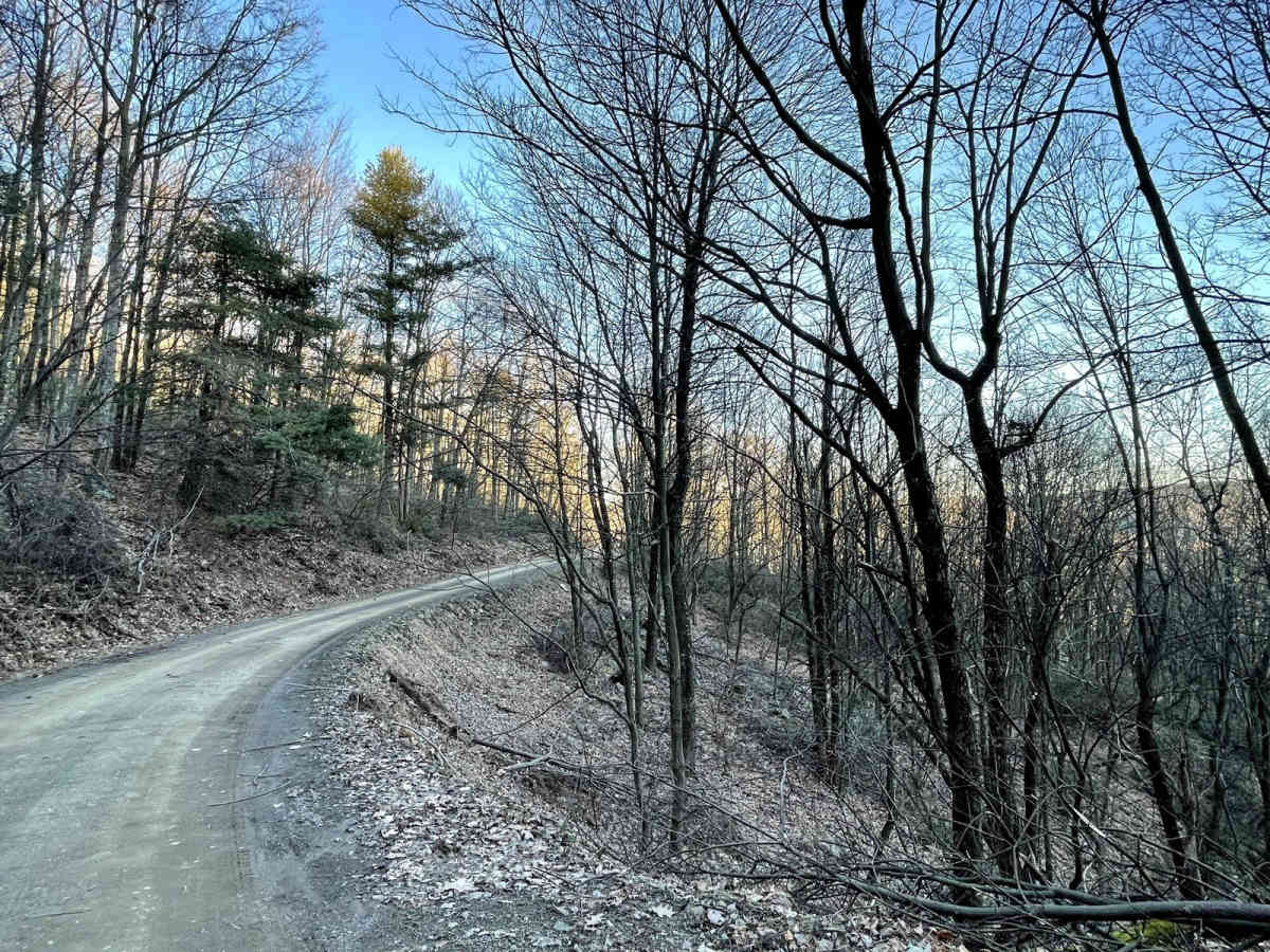 Knob Ridge Road photo 2