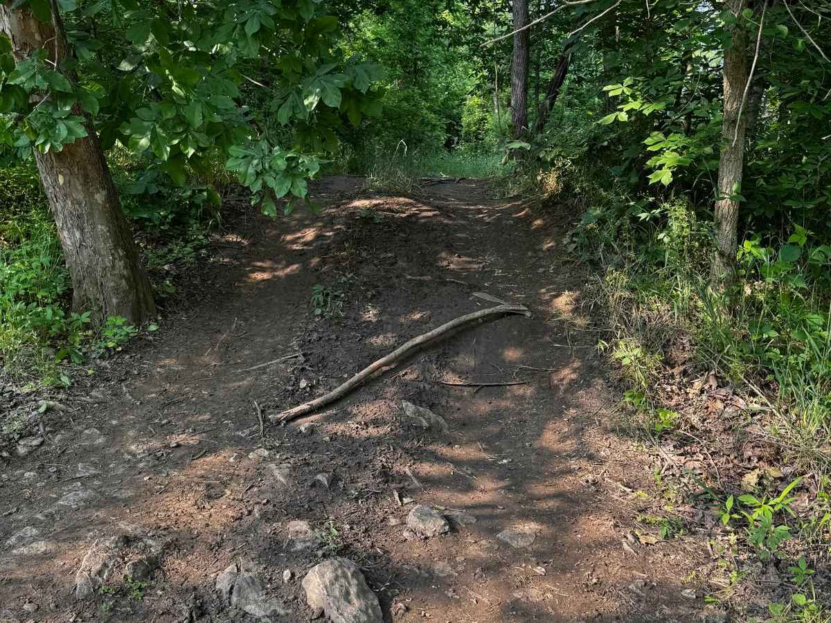 Green 89 trail photo