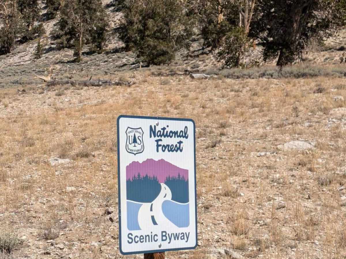White Mountain Road photo 3