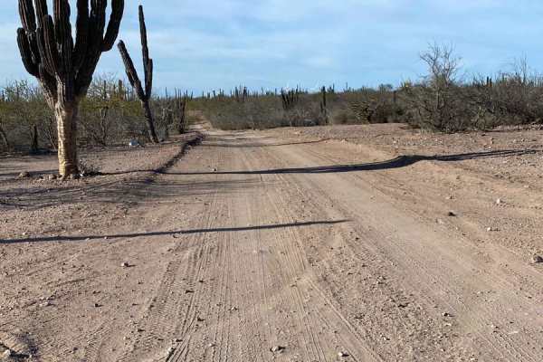 Dos Ranchos Loop