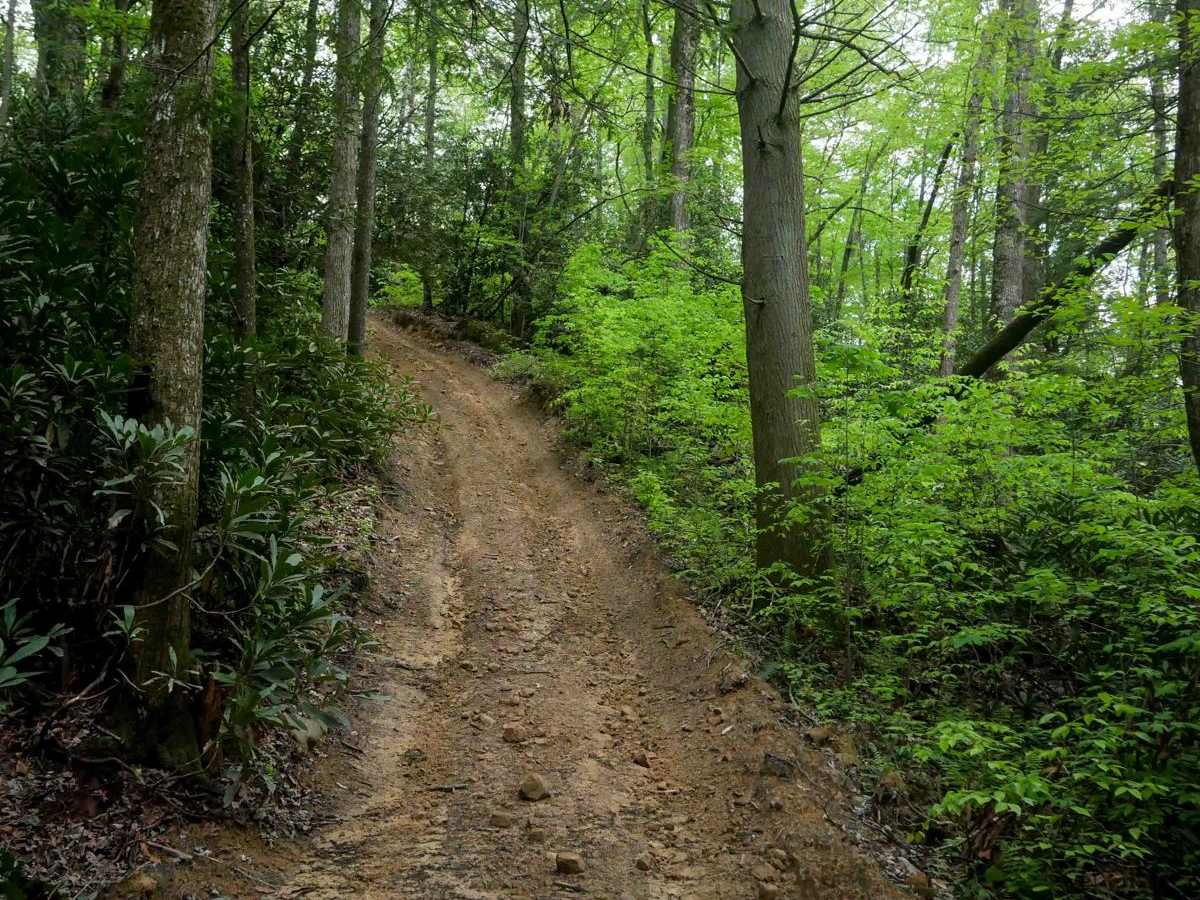 OP 31 trail photo