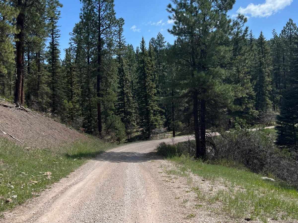 Wetherill Way - FR 527 photo 3