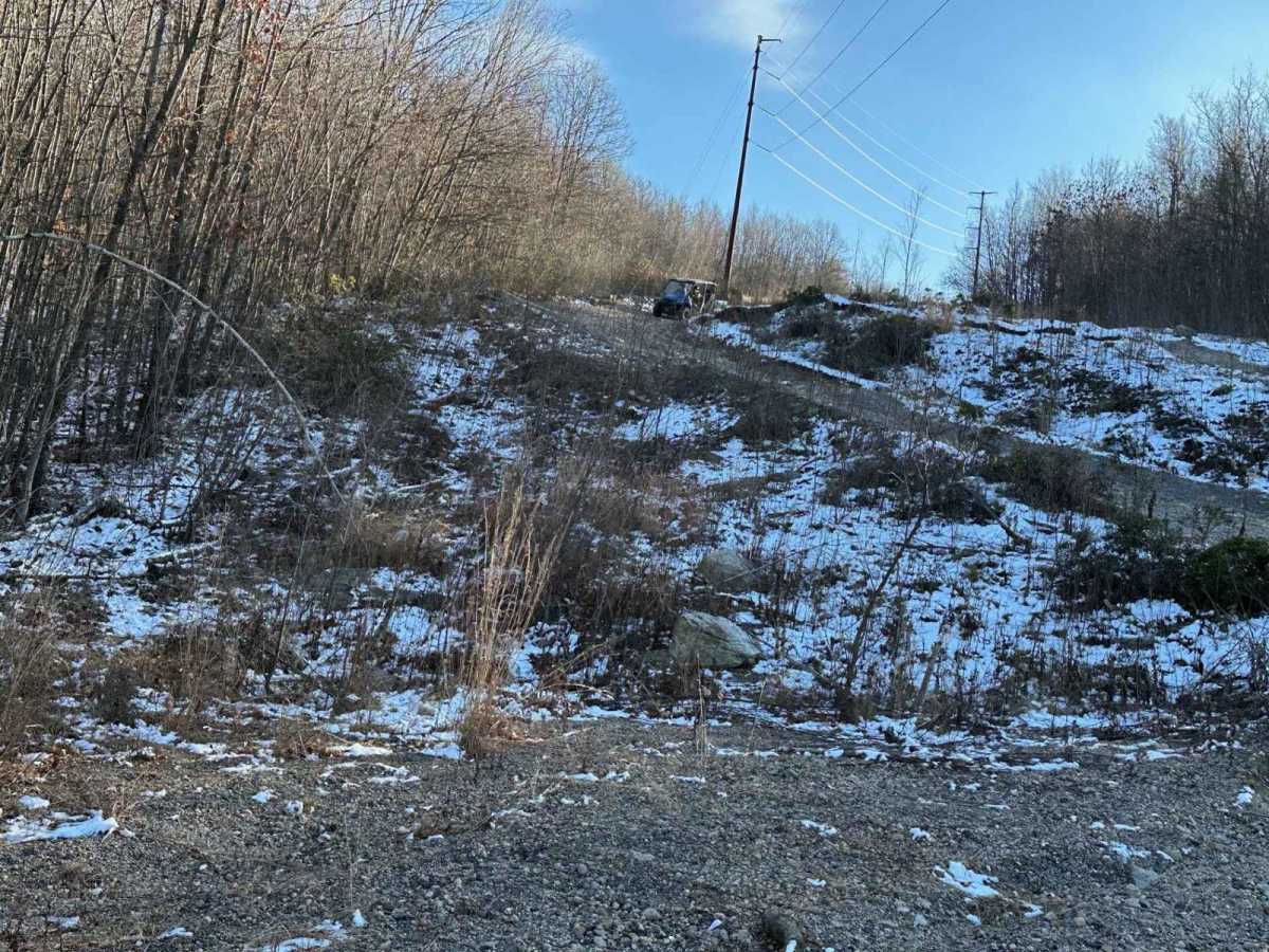Locust Gap 69 photo 5