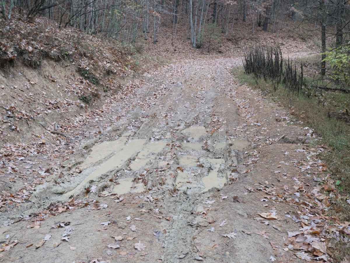 Pond Lick Road photo 4