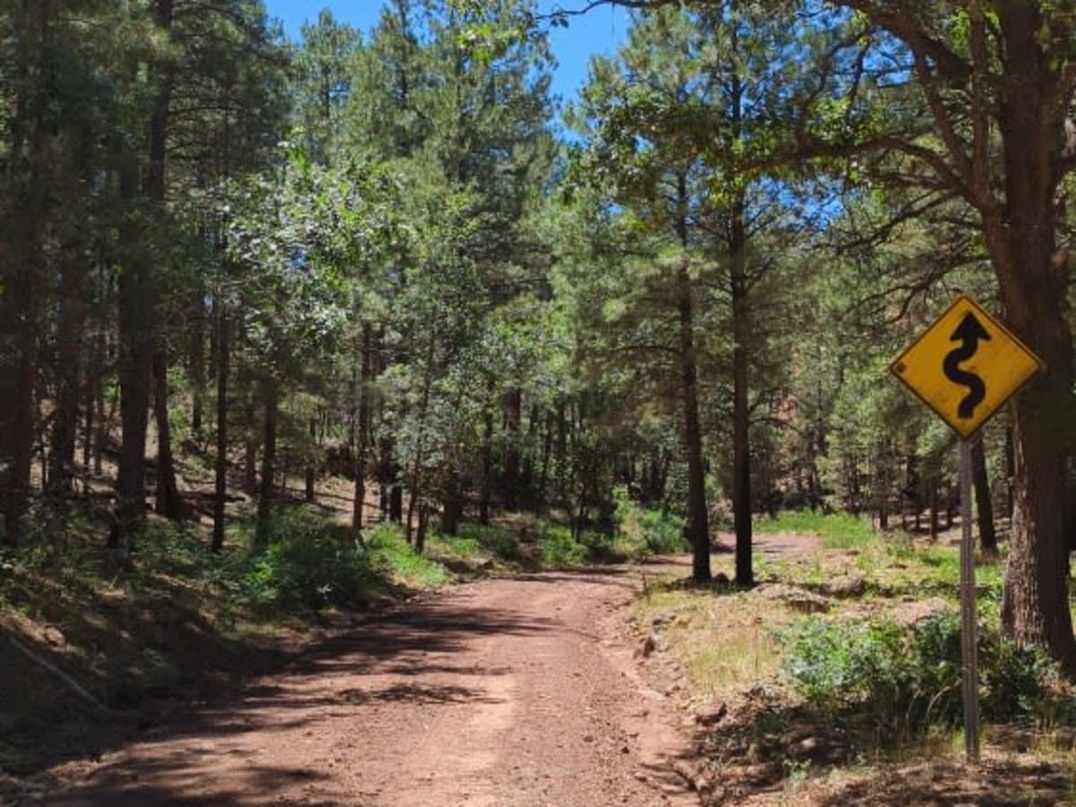 FS 538 Secret Mountain Road photo 3