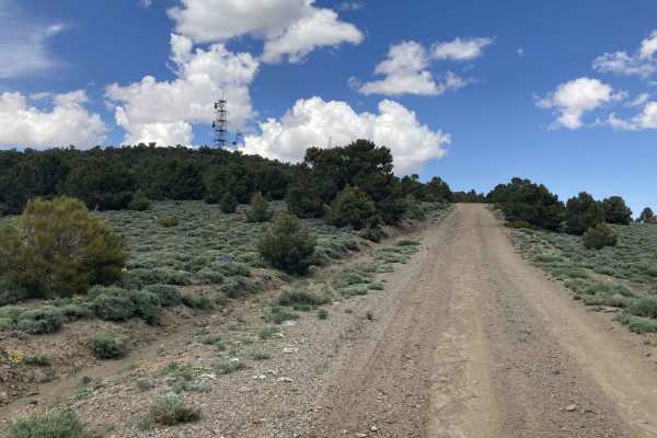 Microwave Road FS 42192