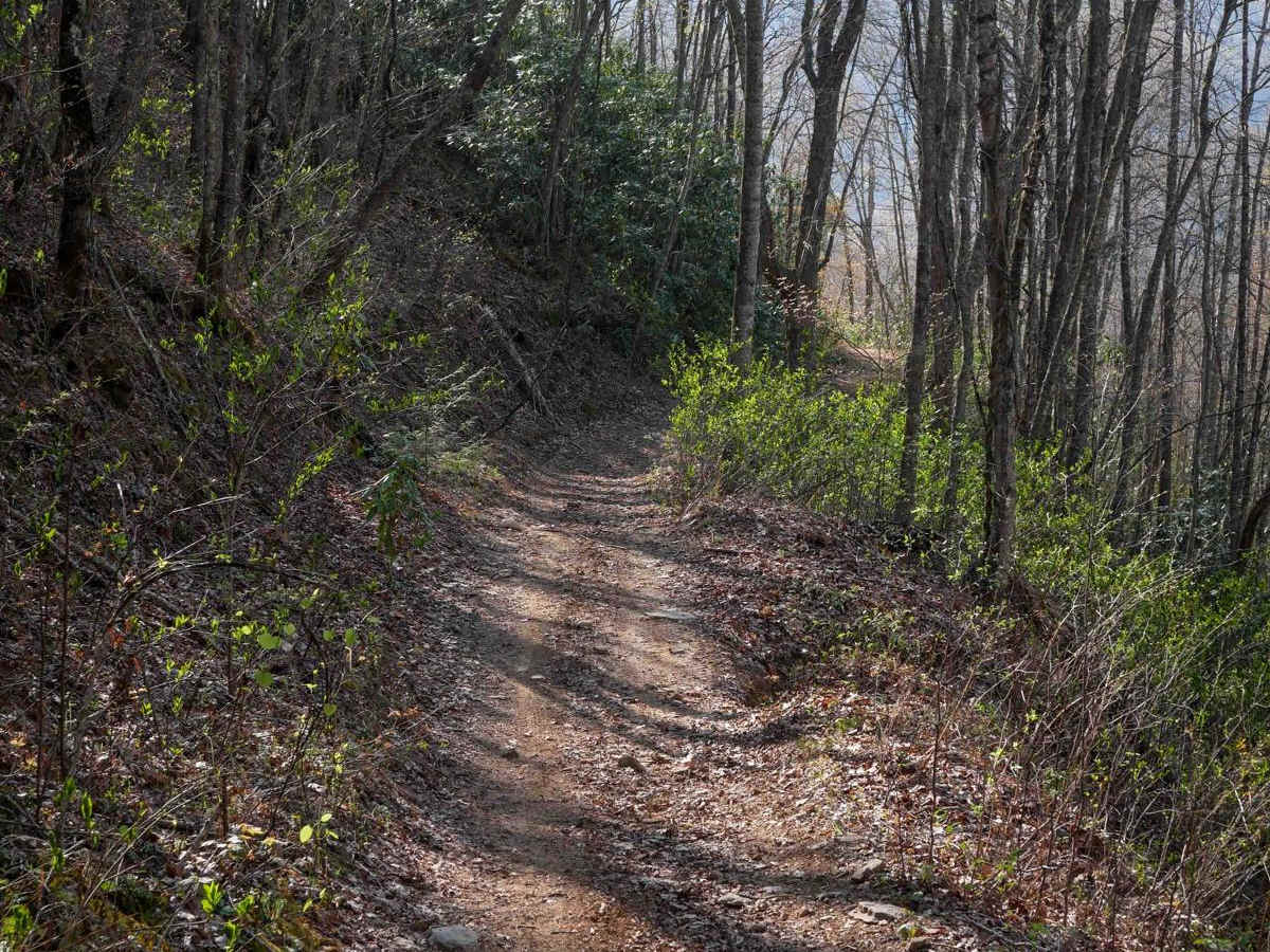 Black Mountain Trail 3 photo 4