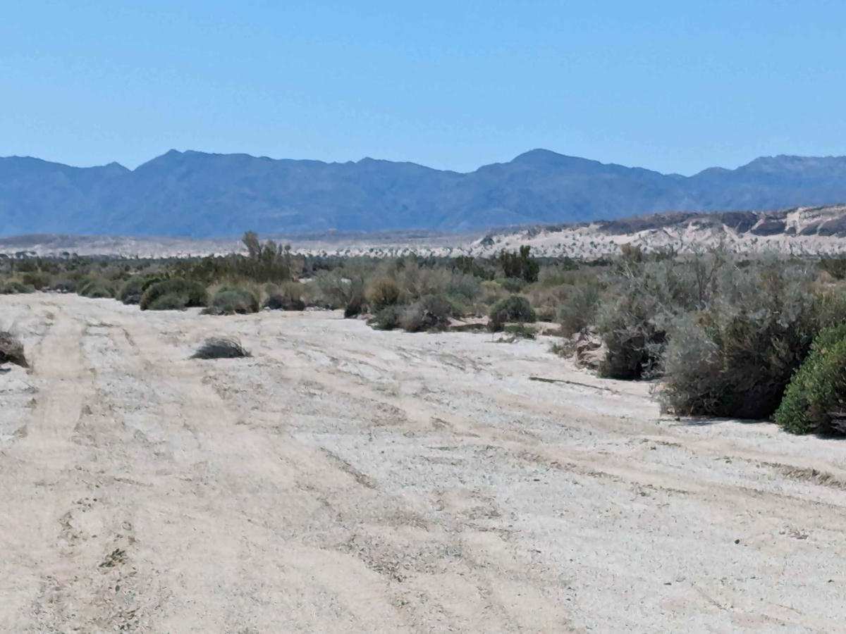 Bank Wash photo 6