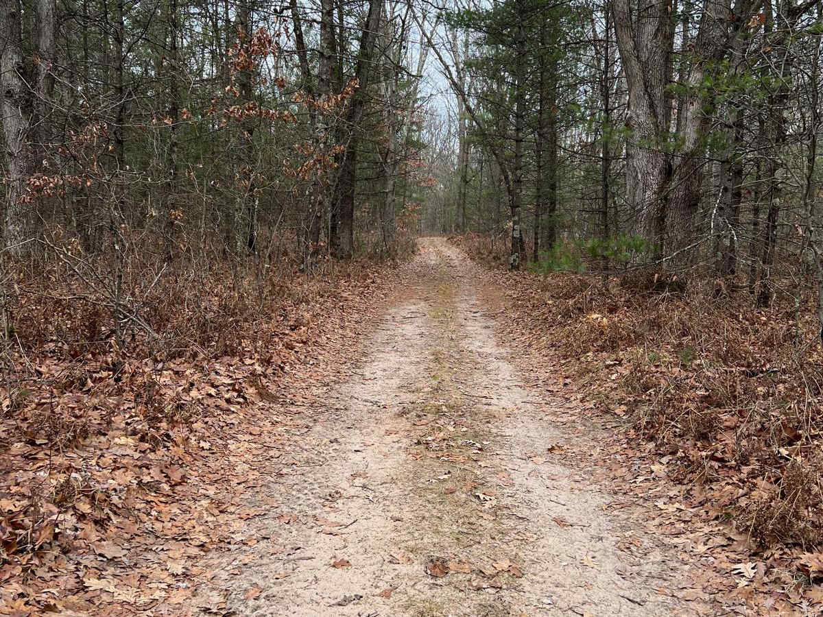 East Lake Loop (NFS 9717/9105/9107) trail photo