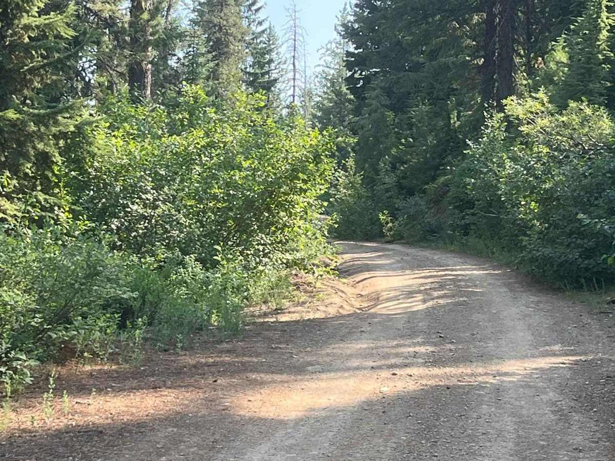 Cedar Mountain 389 trail photo
