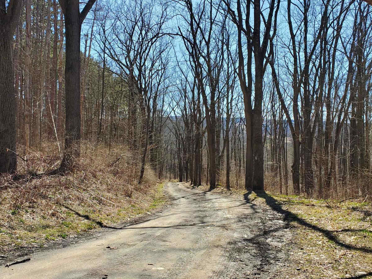 Burnt Hill Road photo 3