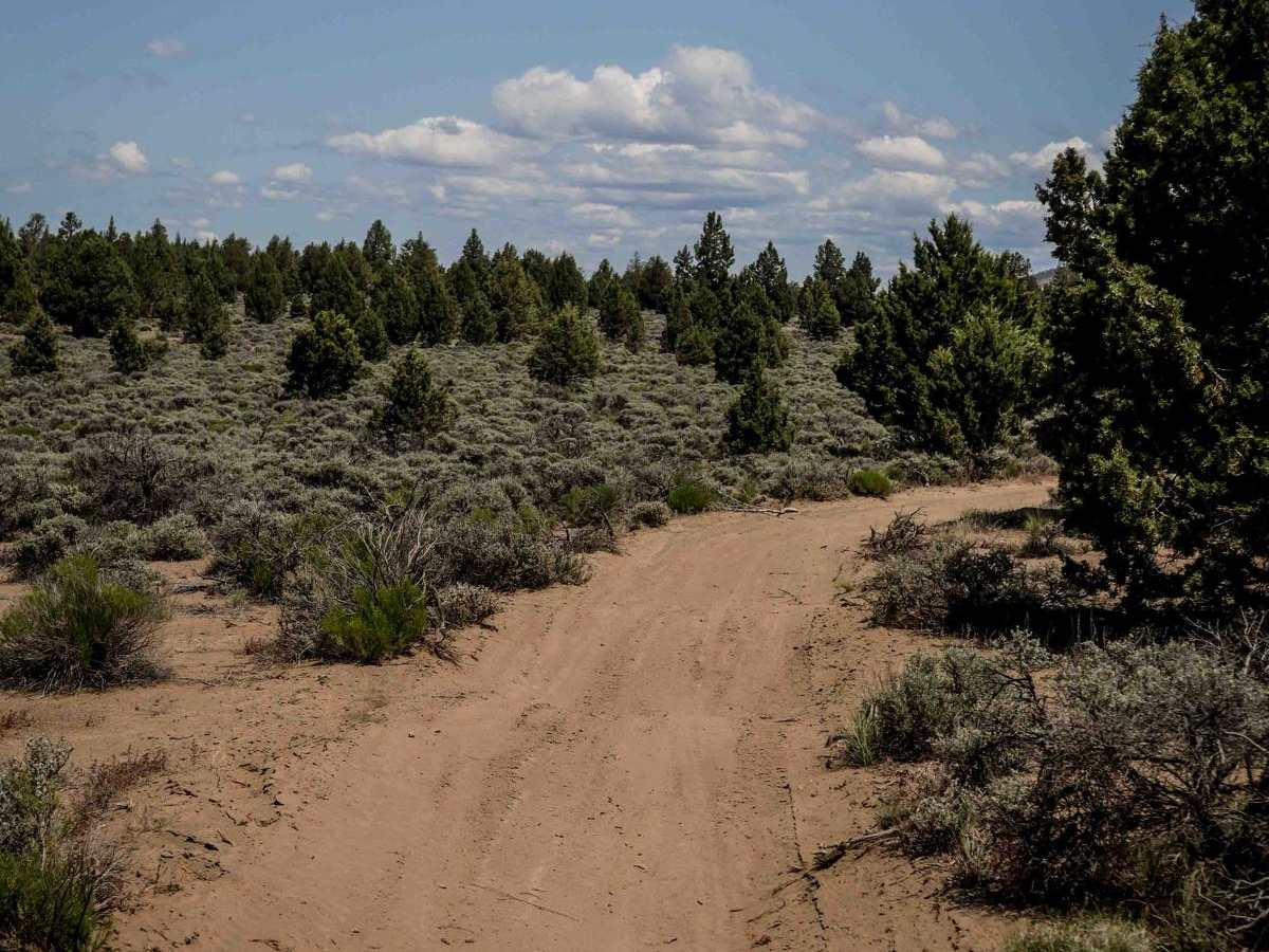12 trail photo