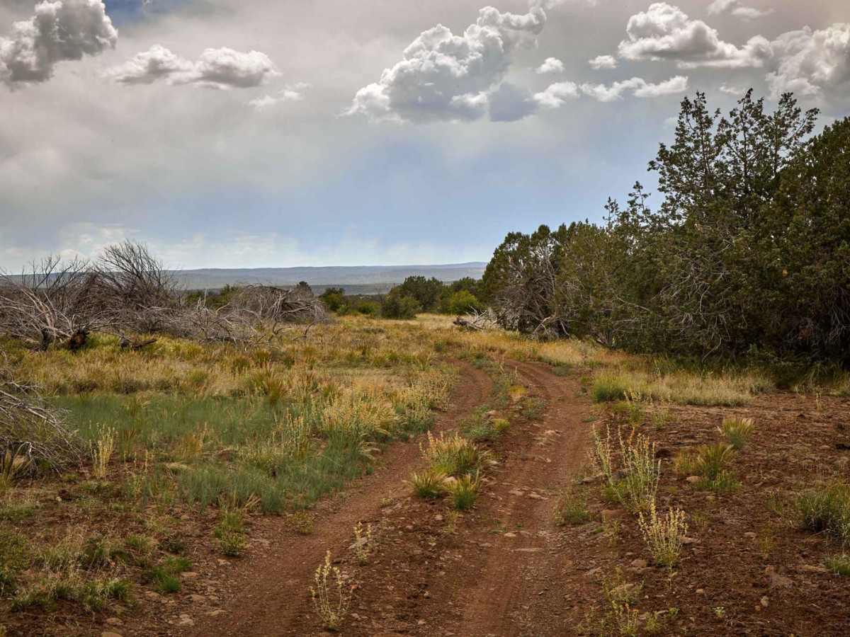 Antelope Wash photo 5