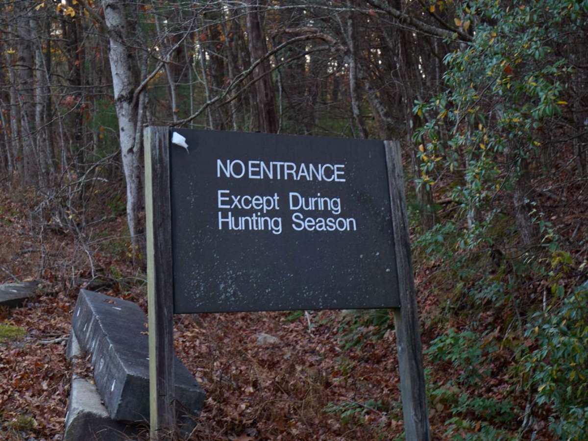 Musterground Road - Part 1 trail photo