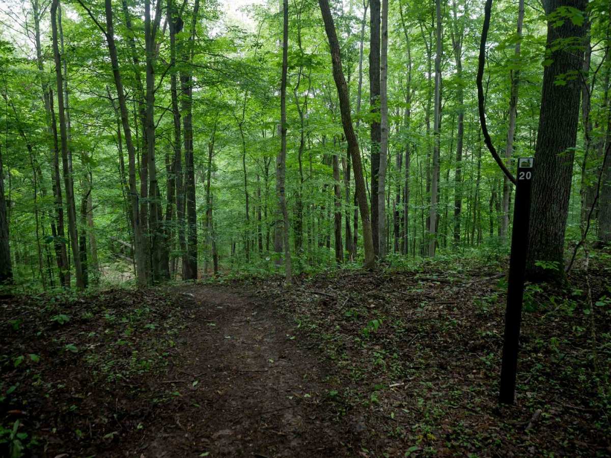 T20 trail photo