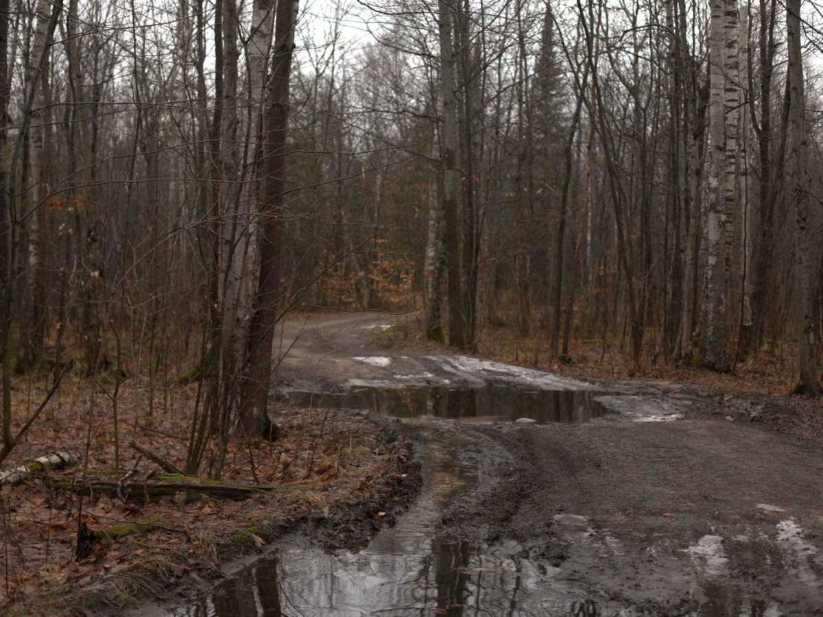 Naomikong Point Trail photo 4