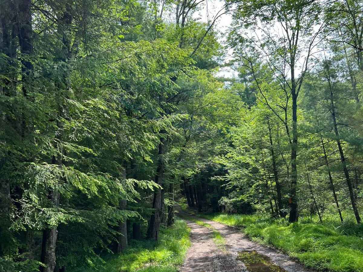Carpenter Road photo 3