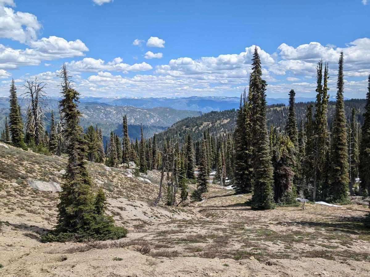 Forest Service Road 555BC - Scott Mtn. Lookout photo 5