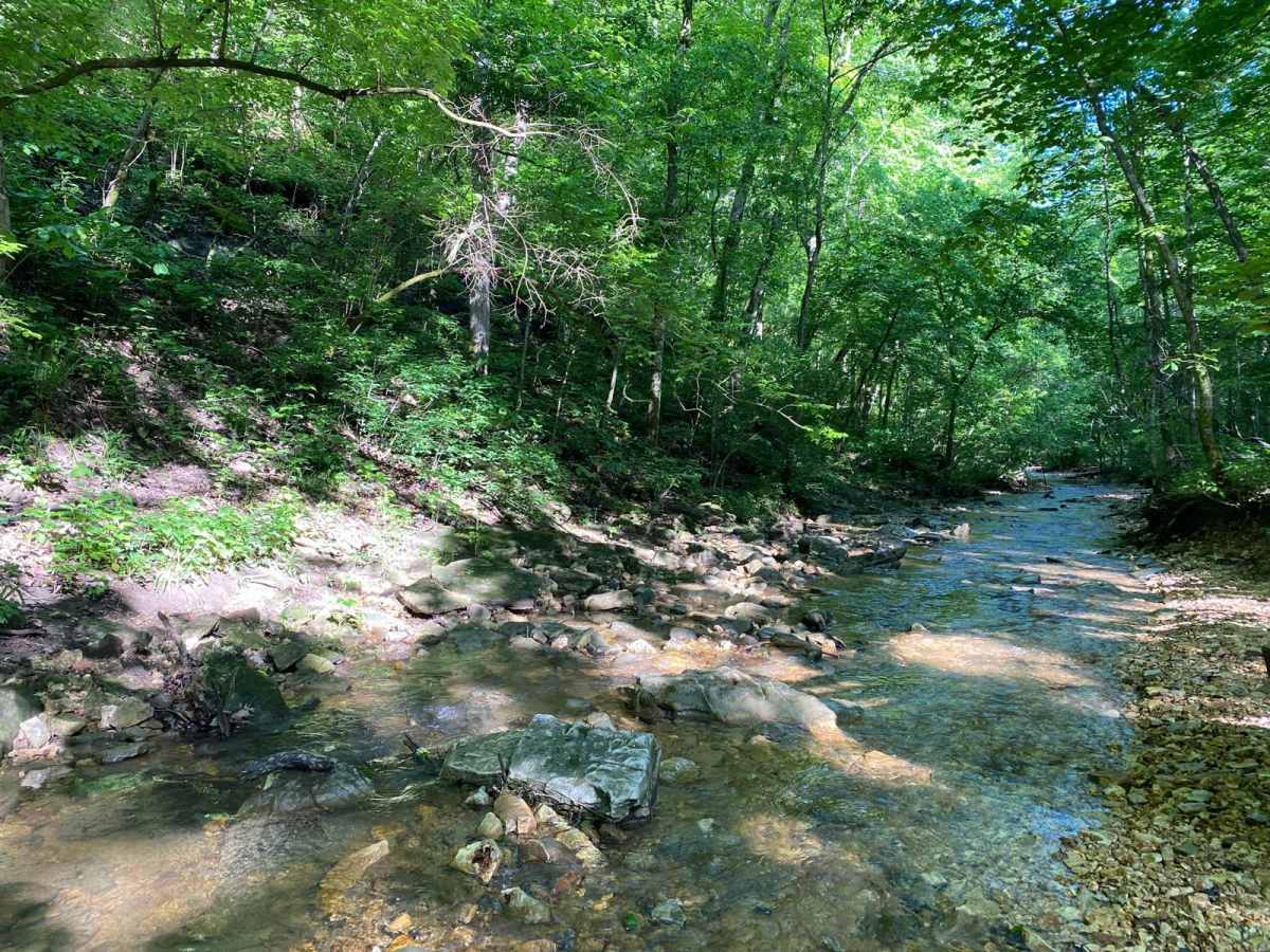 Whitey's Hideout trail photo