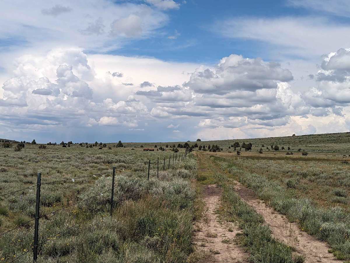 Kiger Mustang Viewing Area Road photo 5