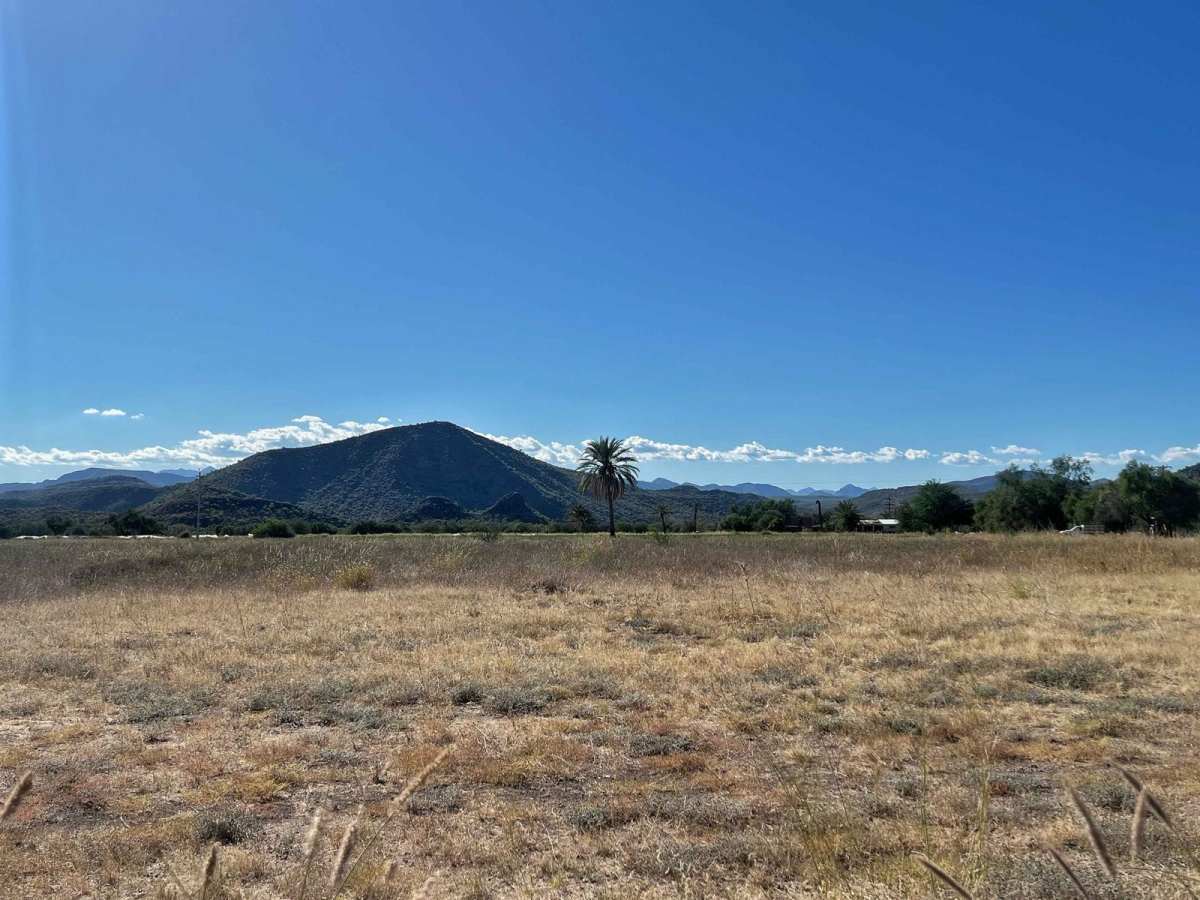 To Mulege Back Farms photo 4
