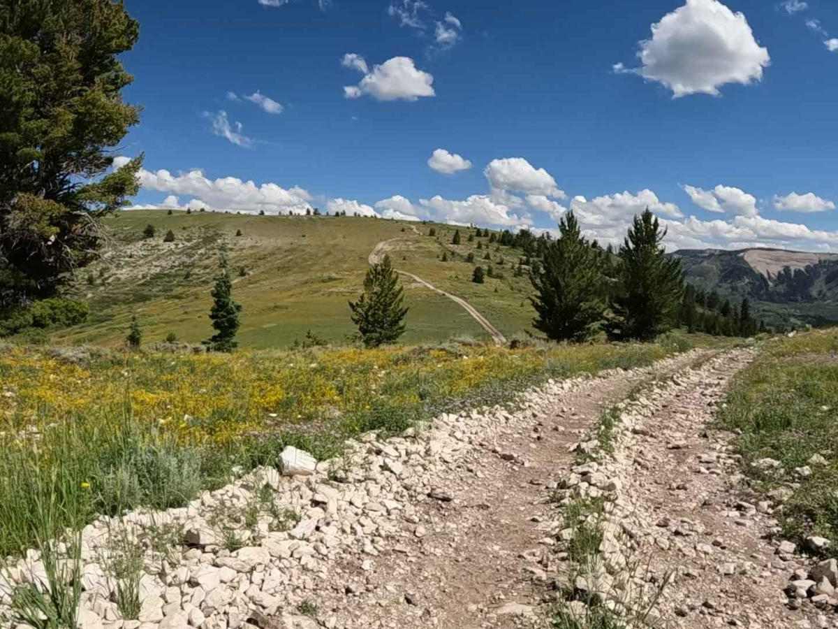 Stock Driveway trail photo