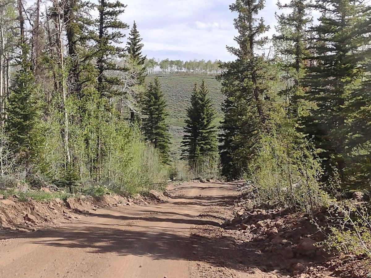Monroe Mtn Road to Upper Box Creek Reservoir (FS# 40068) photo 5