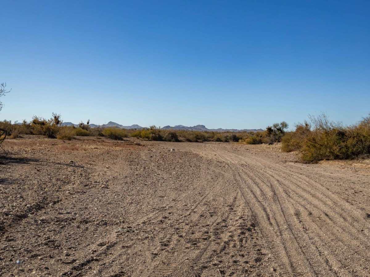 Varied Loop Trail photo 4