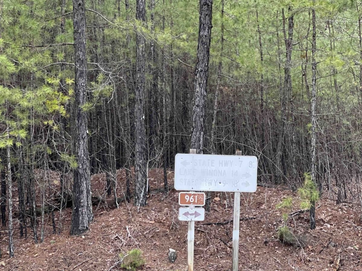 Alum Experiment Road 962 trail photo