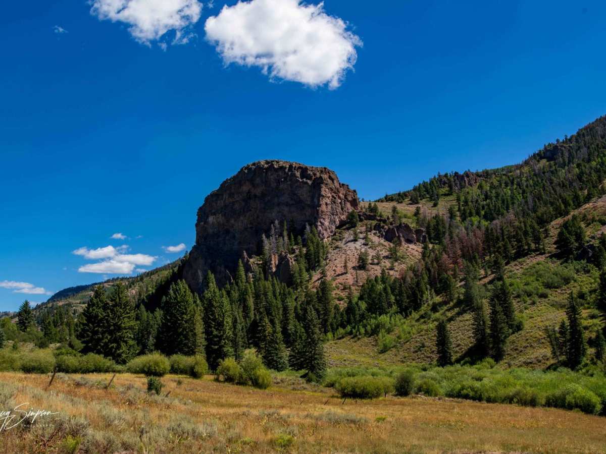 Curecanti Creek Road FR 720 photo 4