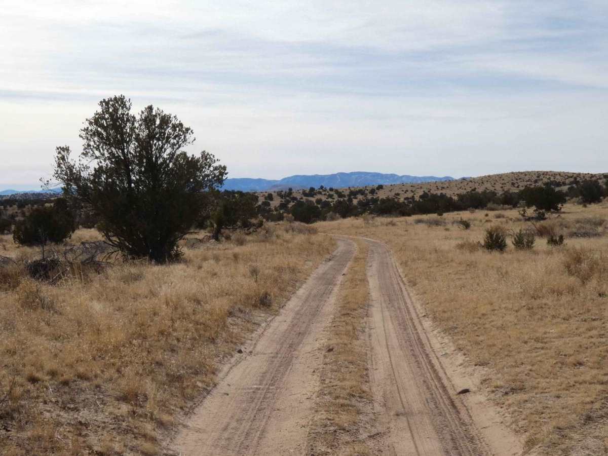 Gallinas Canyon photo 3