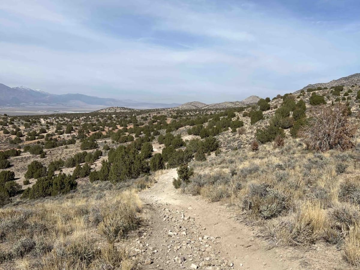 The Front 9 trail photo