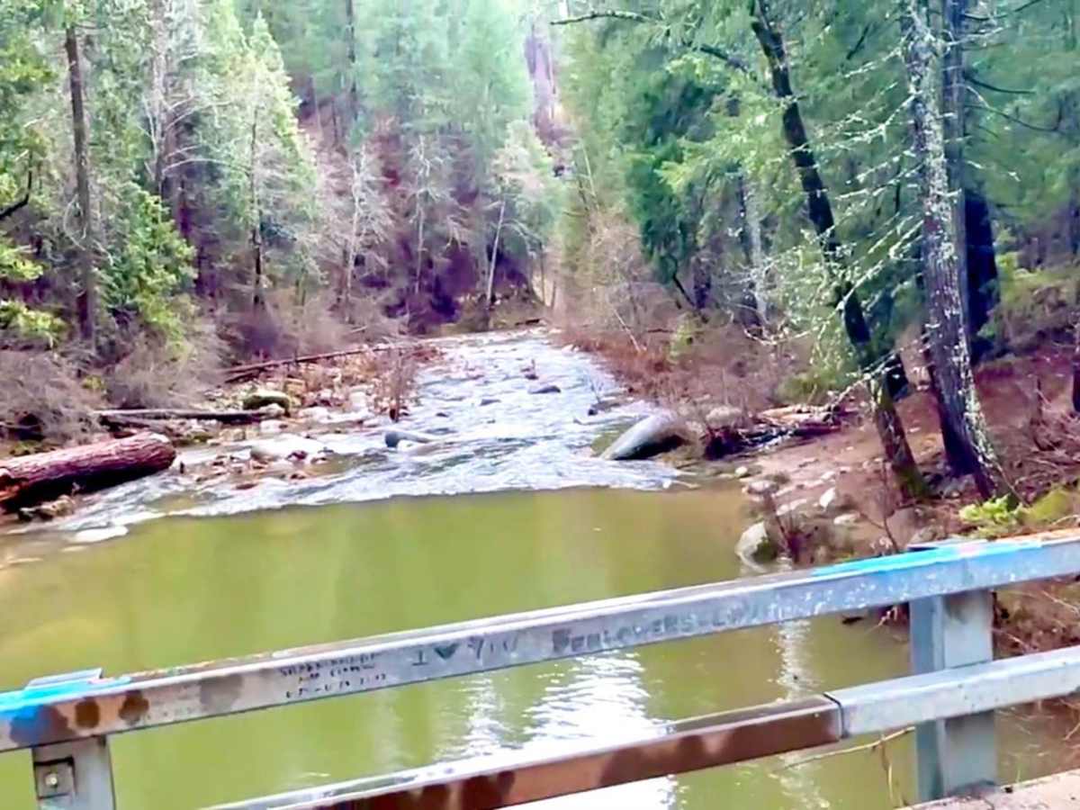 Sly Creek Trail photo 5