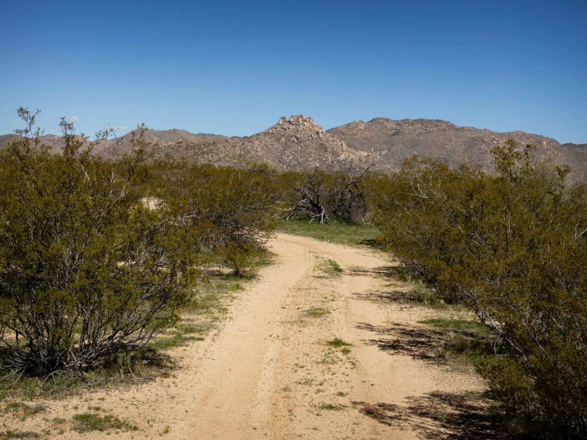 Lower Loop Trail photo 5