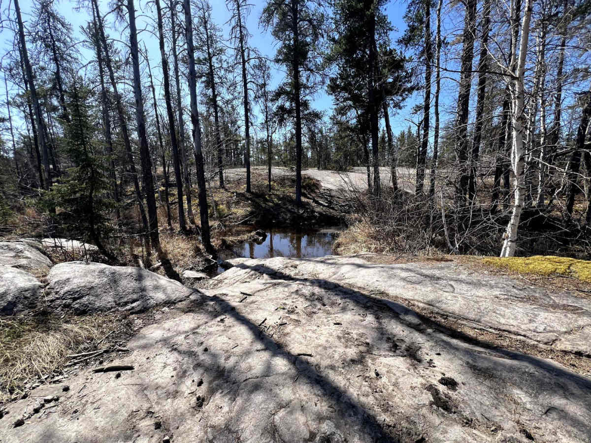 Pit Lake photo 4